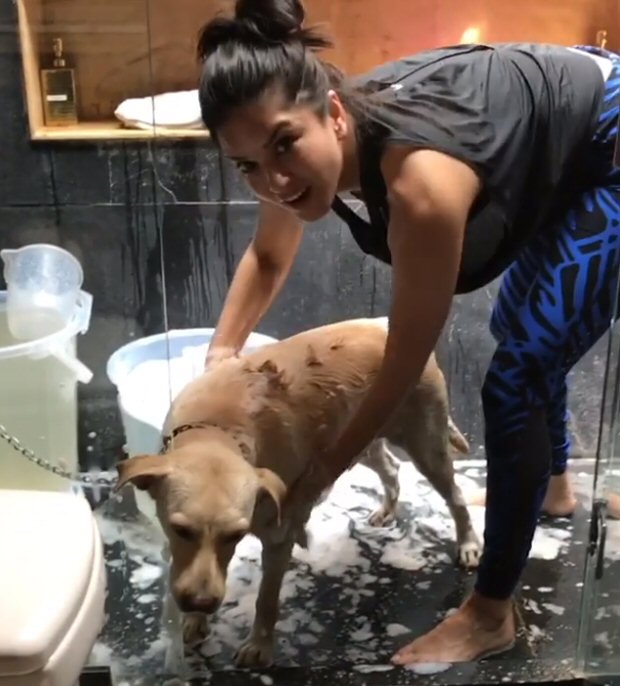 CUTE! Sunny Leone bathes her pet dog Bella : Bollywood News - Bollywood  Hungama