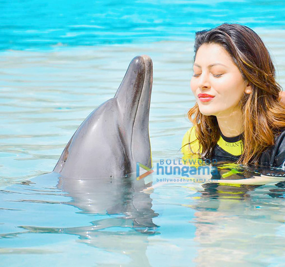 urvashi rautela celebrates world environment day 2