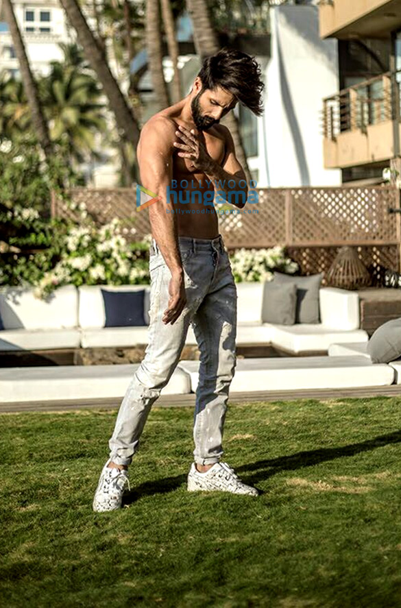 shahid kapoor 1 6