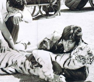 Throwback Thursday: When Amitabh Bachchan fought a real tiger during Khoon Pasina