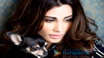 Celebrity Photo Of Daisy Shah