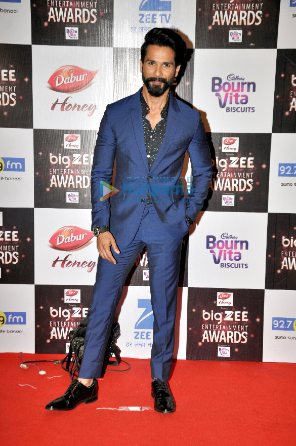 celebs grace the zee cine awards 2017 red carpet 3