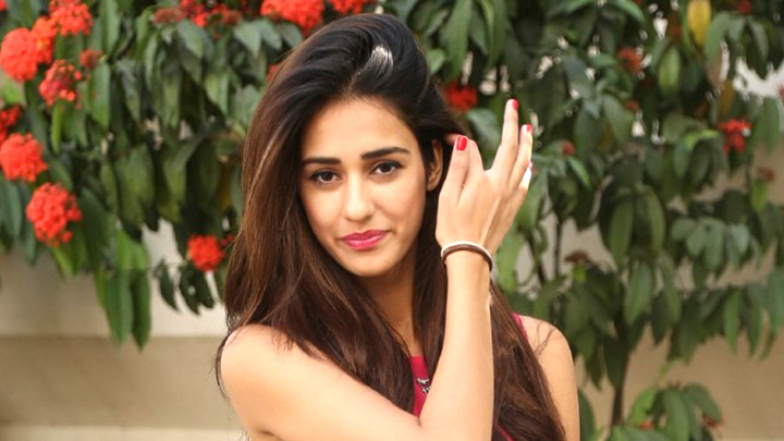 Disha Patani OPENS UP About Baaghi 2, Tiger Shroff & Ranbir Kapoor| M.S. Dhoni: The Untold Story | IIFA New York Disha Patani OPENS UP About Baaghi 2, Tiger Shroff & Ranbir Kapoor| M.S. Dhoni: The Untold Story | IIFA New York