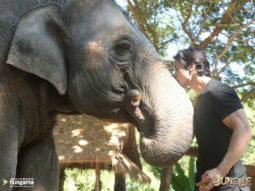 Movie Wallpapers Of Junglee