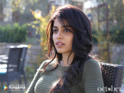 Wallpapers Of The Movie October