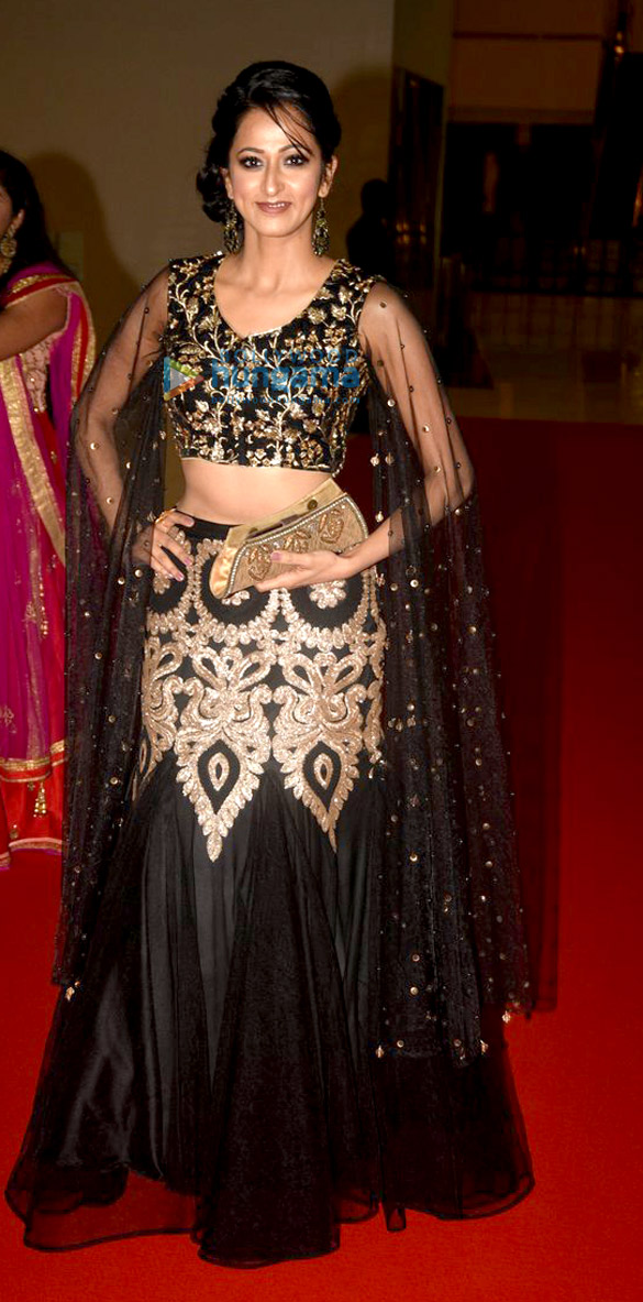 south indian international movie awards 11
