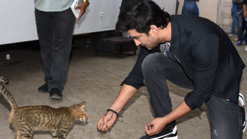 CUTE! Sushant Singh Rajput spotted playing with a lovely, stray cat