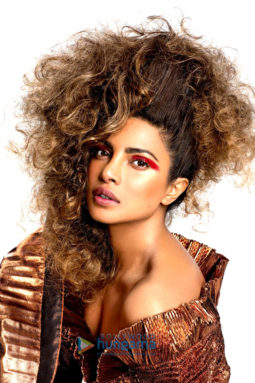 Celebrity Photo Of Priyanka Chopra