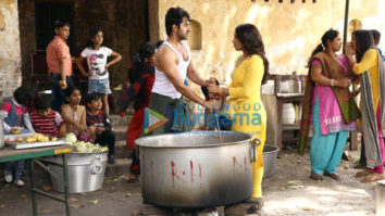 Movie Stills Of The Movie Shubh Mangal Saavdhan