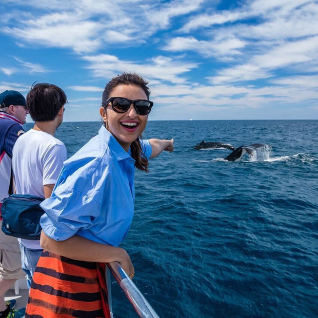 These pictures of Parineeti Chopra with Dolphins will make your day-2