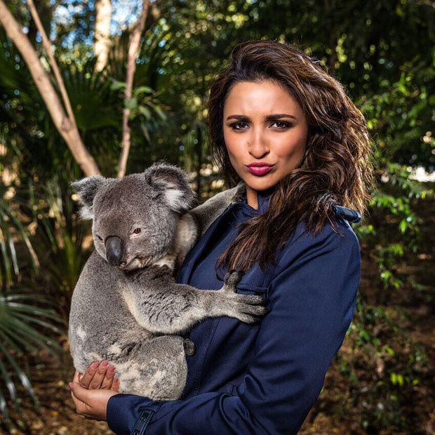 These pictures of Parineeti Chopra with Dolphins will make your day-3