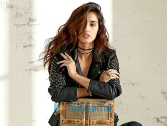 Celebrity Photos of Disha Patani