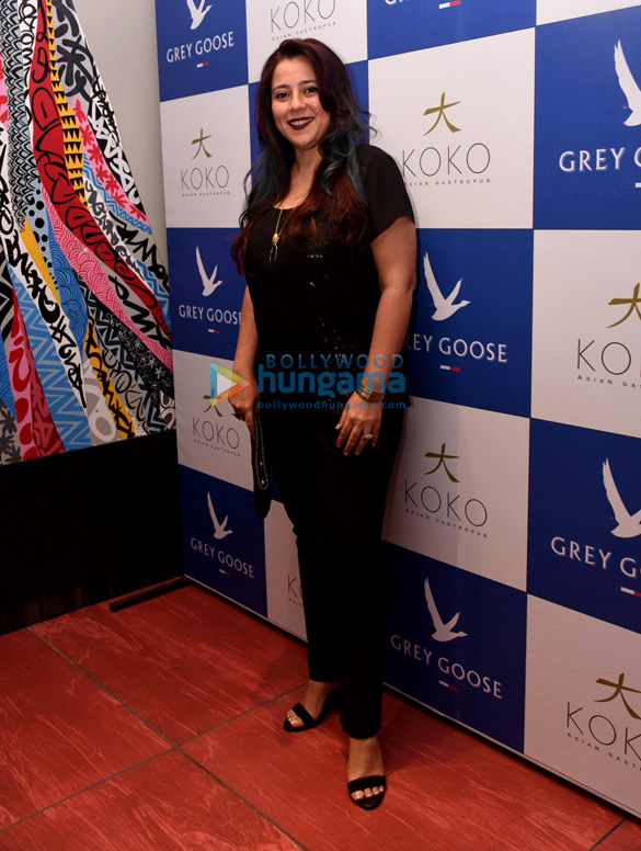 shrishti behls dinner bash 2