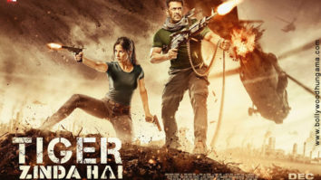 First Look Of The Movie Tiger Zinda Hai