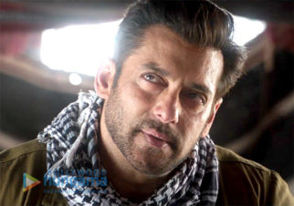 Movie Stills Of The Movie Tiger Zinda Hai