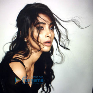 Celebrity Photo Of Pooja Hegde