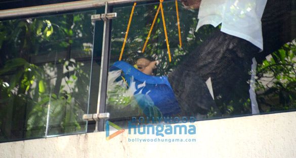 taimur ali khan spotted swinging 5