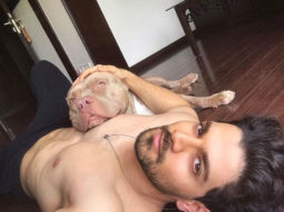 These pictures of Sooraj Pancholi cuddling with his dogs are adorable!