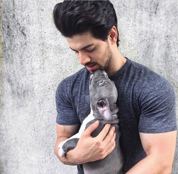 These pictures of Sooraj Pancholi cuddling with his dogs are adorable-2