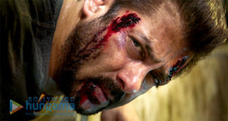 Movie Stills Of The Movie Tiger Zinda Hai