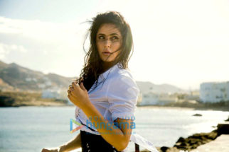 Movie Stills Of The Movie Tiger Zinda Hai
