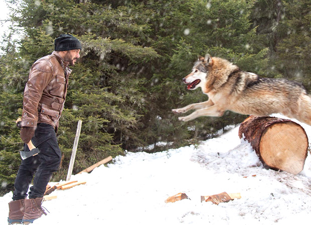 A complete list of records that Tiger Zinda Hai broke at the box office