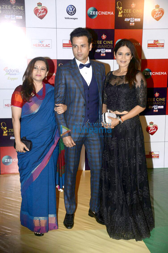 celebs grace the red carpet of zee cine awards 2017 more 9