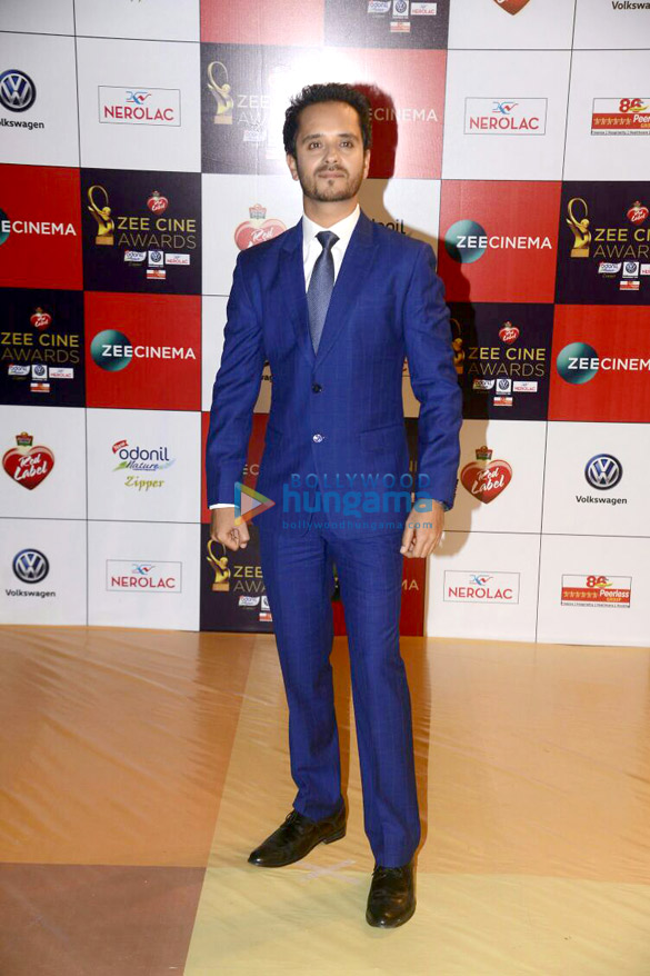 celebs grace the red carpet of zee cine awards 2017 more images 6
