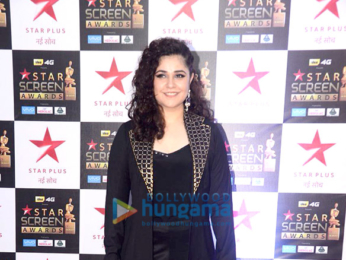 Celebs walk the red carpet of Star Screen Awards 2017