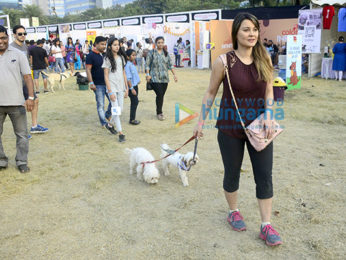 Chunkey Pandey, Minissha Lamba and Dino Morea attend the Pet Fed event