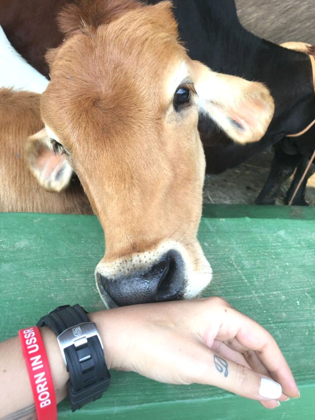 Pooja Bhatt turns her farmhouse into a 22,000 square feet animal shelter