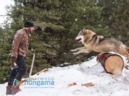 Tiger Zinda Hai: Salman Khan shoots scary action sequence with a pack of blood-thirsty wolves