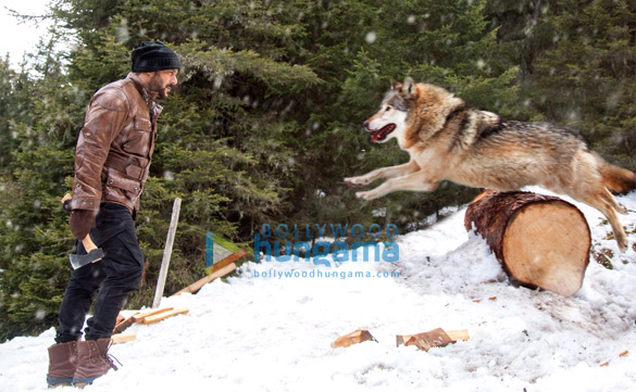 tiger zinda hai 73