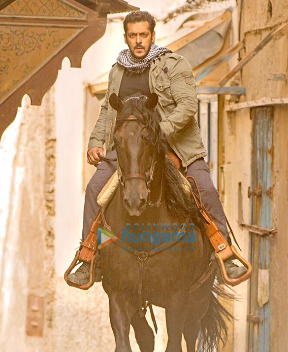 tiger zinda hai 75