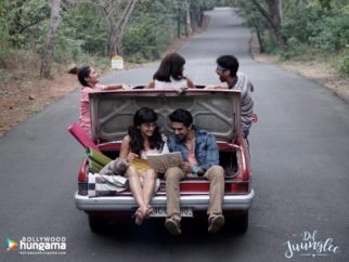 Wallpaper Of The Movie Dil Juunglee