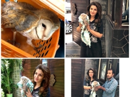 Here’s how Raveena Tandon rescued an owl