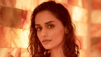 Celeb Wallpapers Of Manushi Chhillar