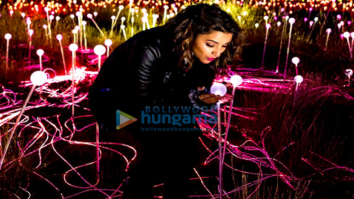 Celeb Photos Of Parineeti Chopra