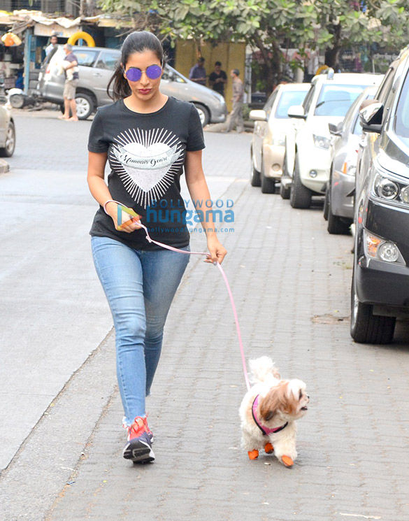 sophie choudry snapped with her dog 5