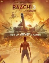 Baaghi 3