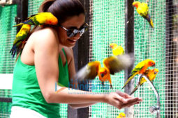 Daisy Shah snapped visiting the Bangkok Zoo