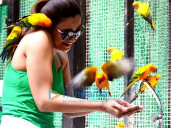 Daisy Shah snapped visiting the Bangkok Zoo