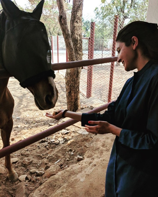Animal lover Anushka Sharma bonds with ‘handsome’ horses and can’t stop gushing
