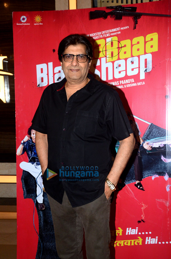celebs grace the premiere of baa baaa black sheep 7
