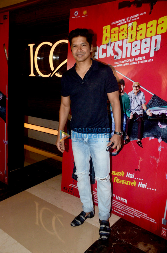 celebs grace the premiere of baa baaa black sheep 9