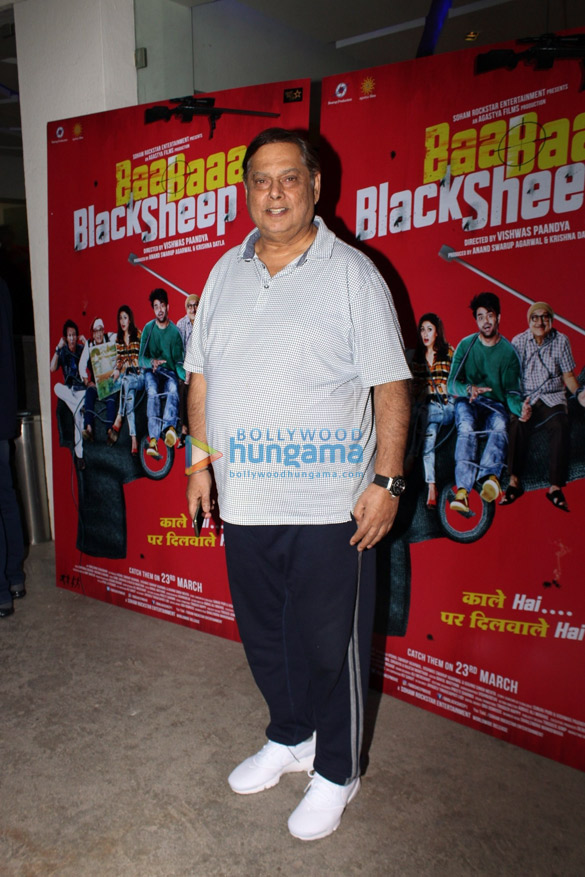celebs grace the special screening of baa baaa black sheep 3