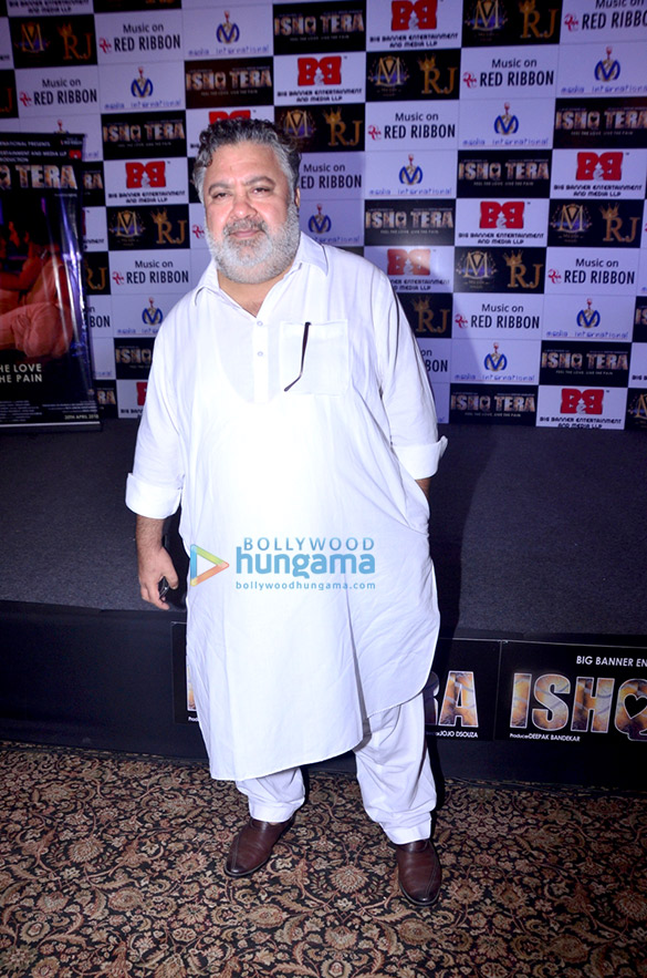 hrishitaa bhatt graces the the music launch of ishq tera 8