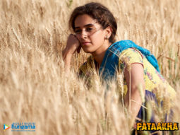 Movie Wallpapers Of The Movie Pataakha