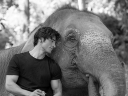 Vidyut Jammwal becomes an elephant whisperer for Junglee
