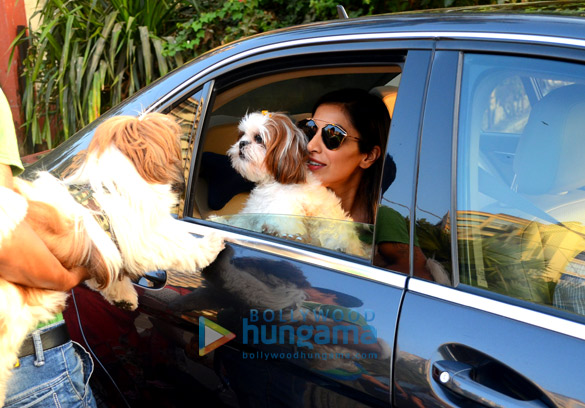 sophie choudry spotted with her pet at bandstand 2